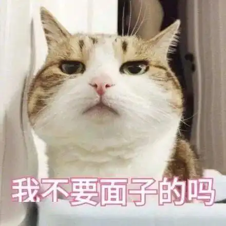  这是寒冬腊月零上6,还要下雨