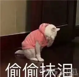  猫咪偷偷抹眼泪表情包免费版猫咪偷偷抹眼泪表情包高清无水印版下载9553下载