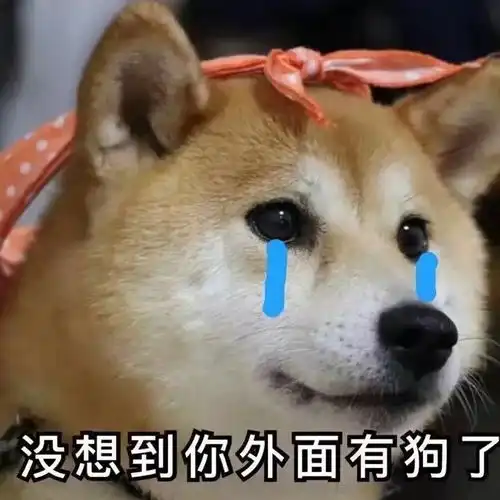  奇奇怪怪的表情包聊天必备