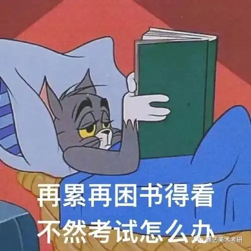  哔哩哔哩专栏