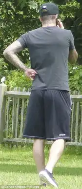 小七哈珀表情包大卫贝克