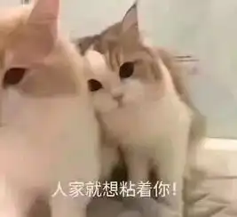 可爱猫咪的表情包我的悲伤大概有这么大