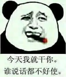  谁说话都不好使表情包