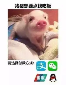 小猪喊到一系列表情包生