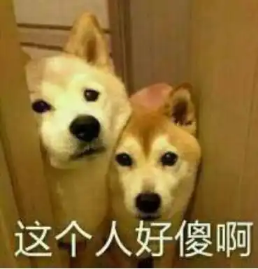 溜了表情包素材遛狗