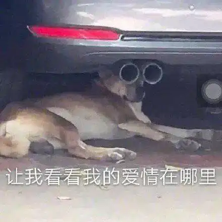  指到谁,谁就跟我领证闺蜜话音刚落,所有人都沸腾了哈哈哈哈哈哈