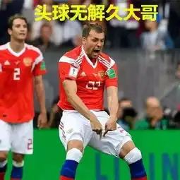  足球盛宴世界杯除了国足没去,其他都去了