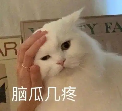  表情包怂又不服气的眼神
