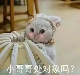  来吧,后边也可以