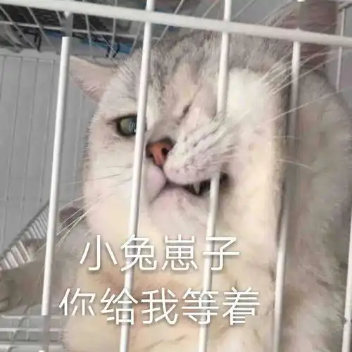  我该不会是又胖了吧