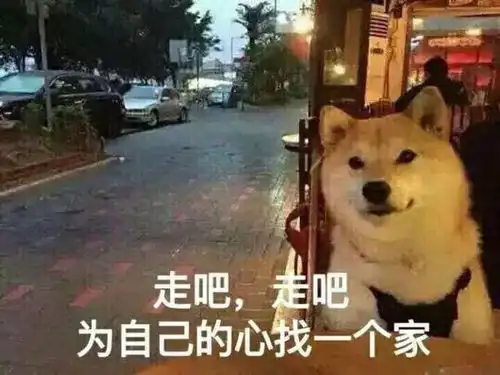  您有一份情人节单身狗定制表情包请查收