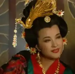  范冰冰主演的武媚娘传奇停播哪版武则天是你最爱