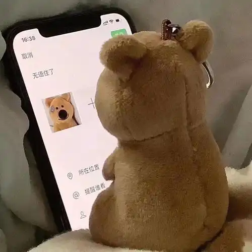  奇奇怪怪的表情包大赏