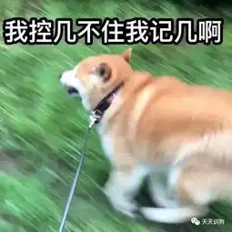  合肥养犬管理条例规定牵狗绳长不得超过两米