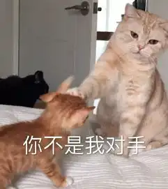  每日表情丨小哥哥上车吗