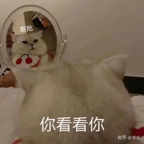  假如你的手机坏了要么最大音量要么没有音量或者要么最低亮度要么最大亮度你会分别选择哪个呢