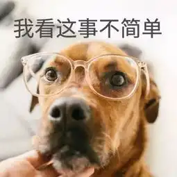  目瞪口呆十堰熊孩子竟拿新买的手机干这事...爸爸报警了