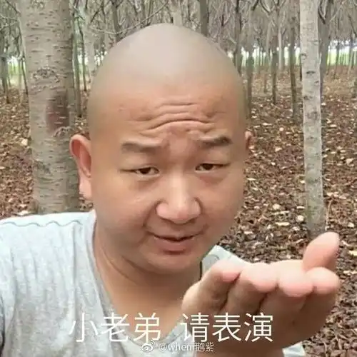 giao的表情包表情包