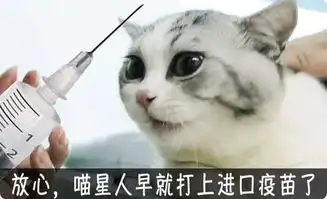 担心表情包猫咪五联疫苗