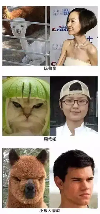  这条微信可把我笑喷了不信你看看,笑不晕你我砸手机