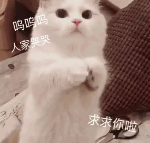 打游戏菜被队友骂了用表情包回怼不是我菜,手冷,手冷你懂吧 打游戏菜被队友骂了用表情包回怼不是我菜,手冷,手冷你懂吧