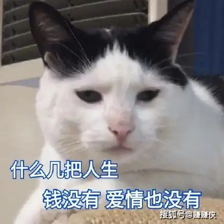  最新热门表情包图片我可爱吗,按下脏话开关