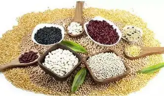  健身增肌可以吃米饭吗增大肌肉的饮食秘籍