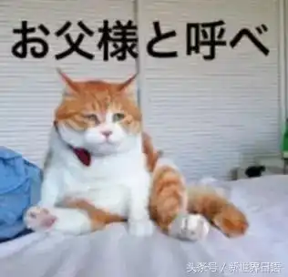  再不学日语,怕是表情包你都看不懂