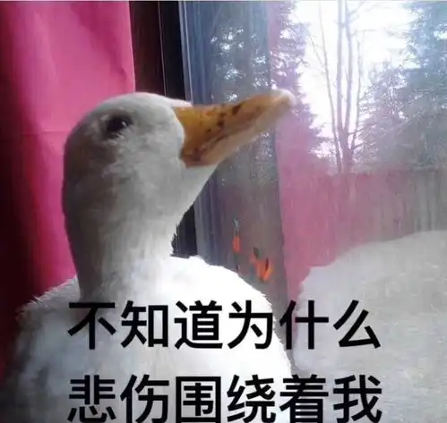  血泪最全的工商变更干货