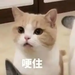  宋代最权威的海洋百科书籍,叮嘱水手千万别去女儿国