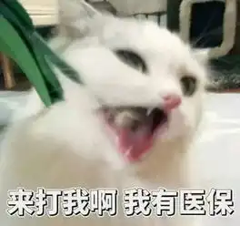  可爱的喵喵表情