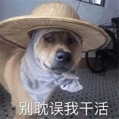  还有冻雨或雨夹雪气温持续低调,这里会出太阳