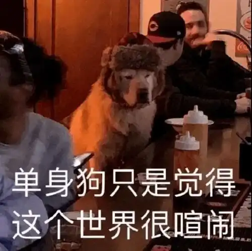  我带着刑法法条走进了情侣酒店