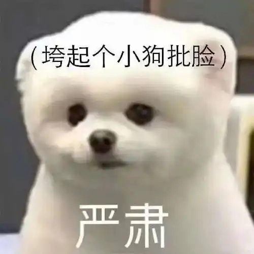  遛狗时碰到个别路人行为有点不爽