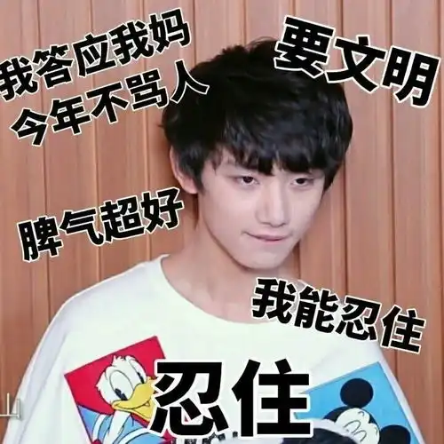 时代少年团沙雕表情包丁