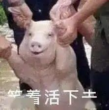  上海今早暴雨未来的天气也好不到哪里去