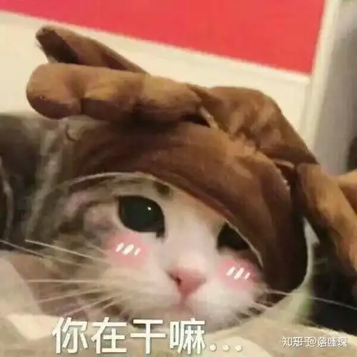  有没有适合谈恋爱的表情包