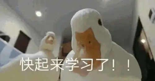  团团带你过暑假大学生的暑期生存攻略