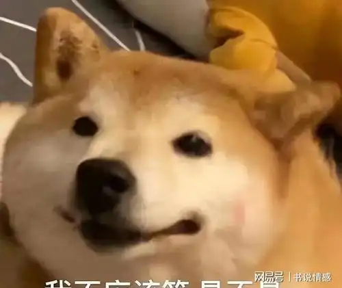  6种短命犬,陪不了你十年,养了好好珍惜