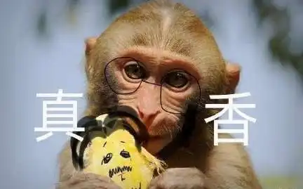  居老师为什么被叫做毛猴
