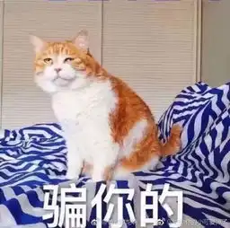 中奖表情包大全猫咪