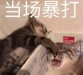  新玩法亮点全解析