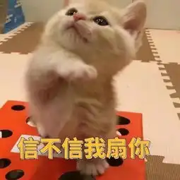  表情包丨苏喂苏喂苏喂