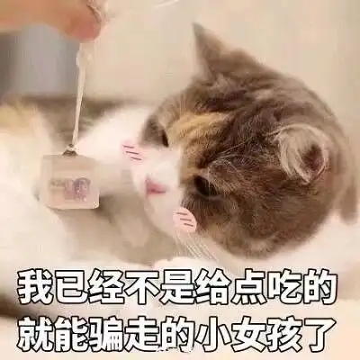  十二星座喜欢一个人的表现