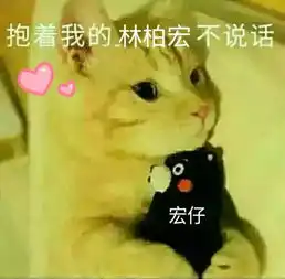  林柏宏