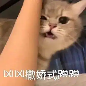  猫咪熊仔沙雕表情包
