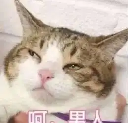  每次吴京出去拍戏,都能组一堆奇奇怪怪的cp回来这回轮到他了