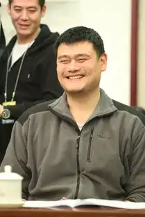  体育明星在两会姚明身高抢镜