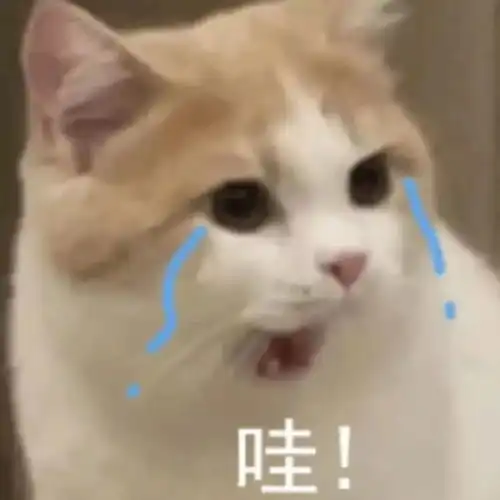 表情包不哭,哥有糖 表情包不哭,哥有糖