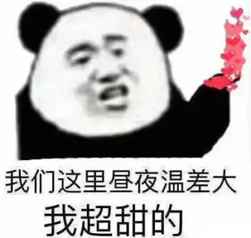  听说双十一是一个脱单的大好机会